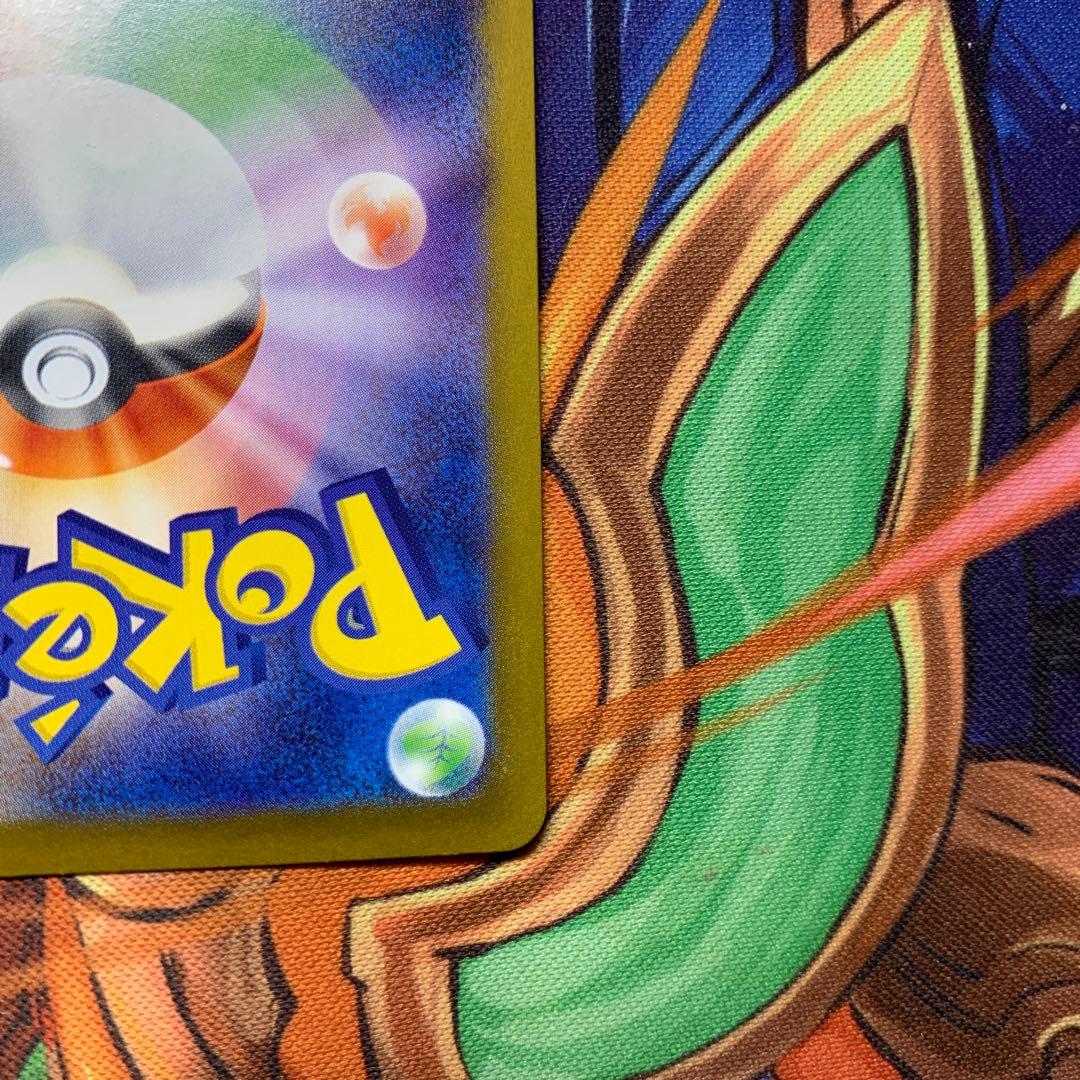 ブラッキーex sar テラスタルフェス