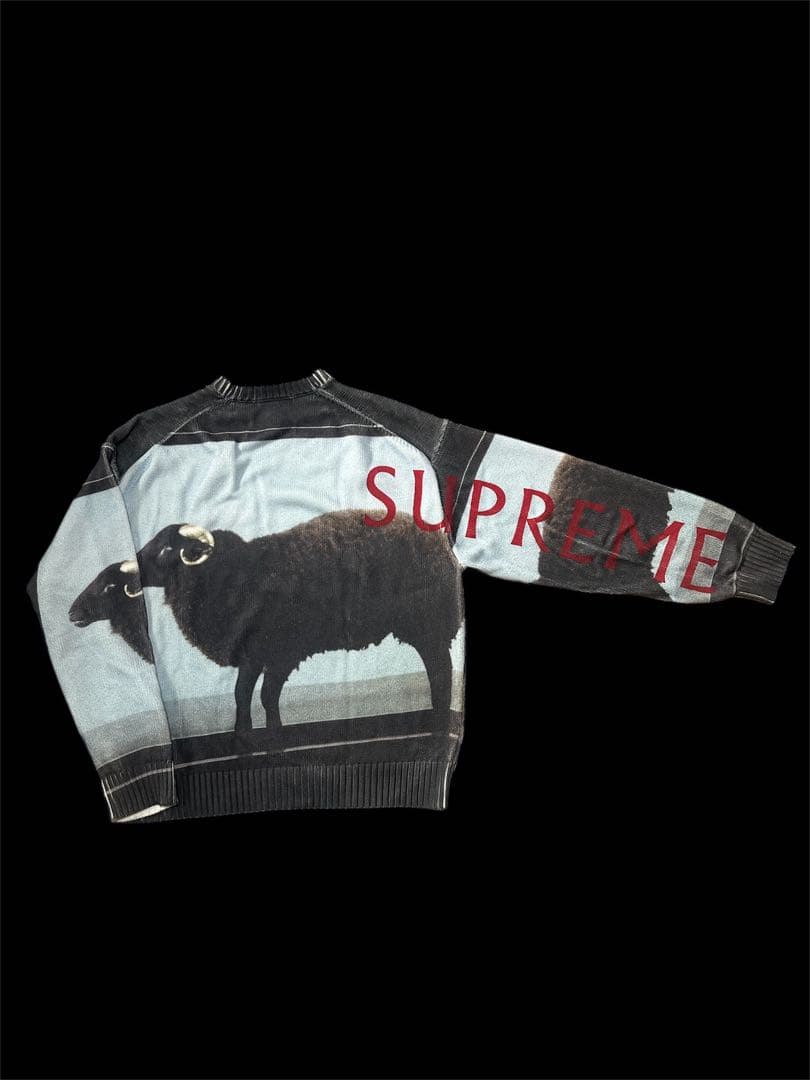 トップス supreme Damien Hirst Sweater 25ss M