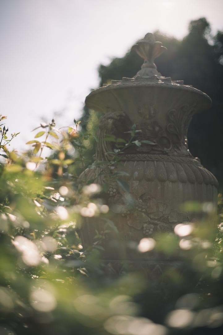 改良型タクマー！SMC takumar 55mm F1.8 M42マウント