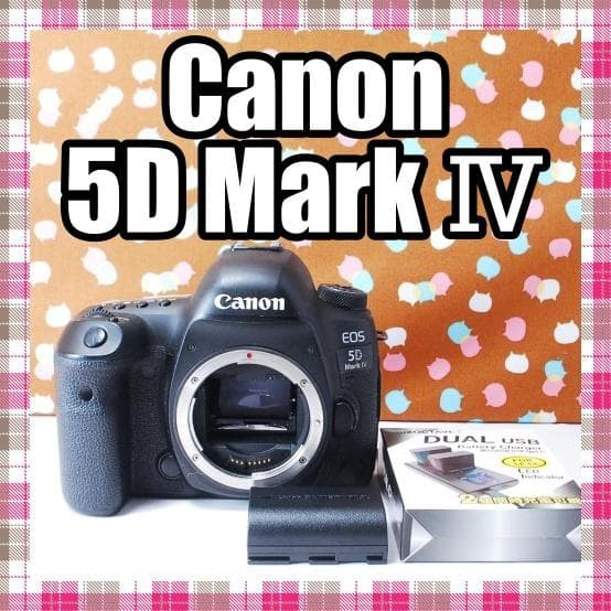 ✨ハイスペック機✨超高性能✨Canon 5D Mark Ⅳ