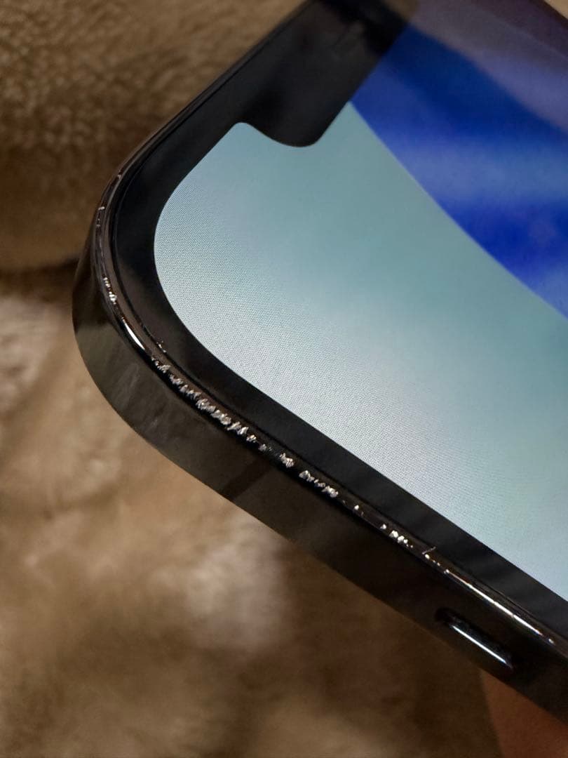 iPhone12 ProMAX本体