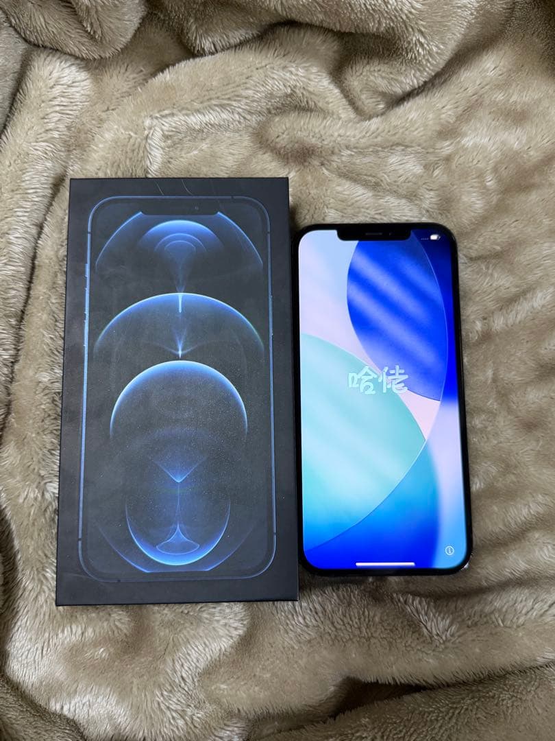 iPhone12 ProMAX本体