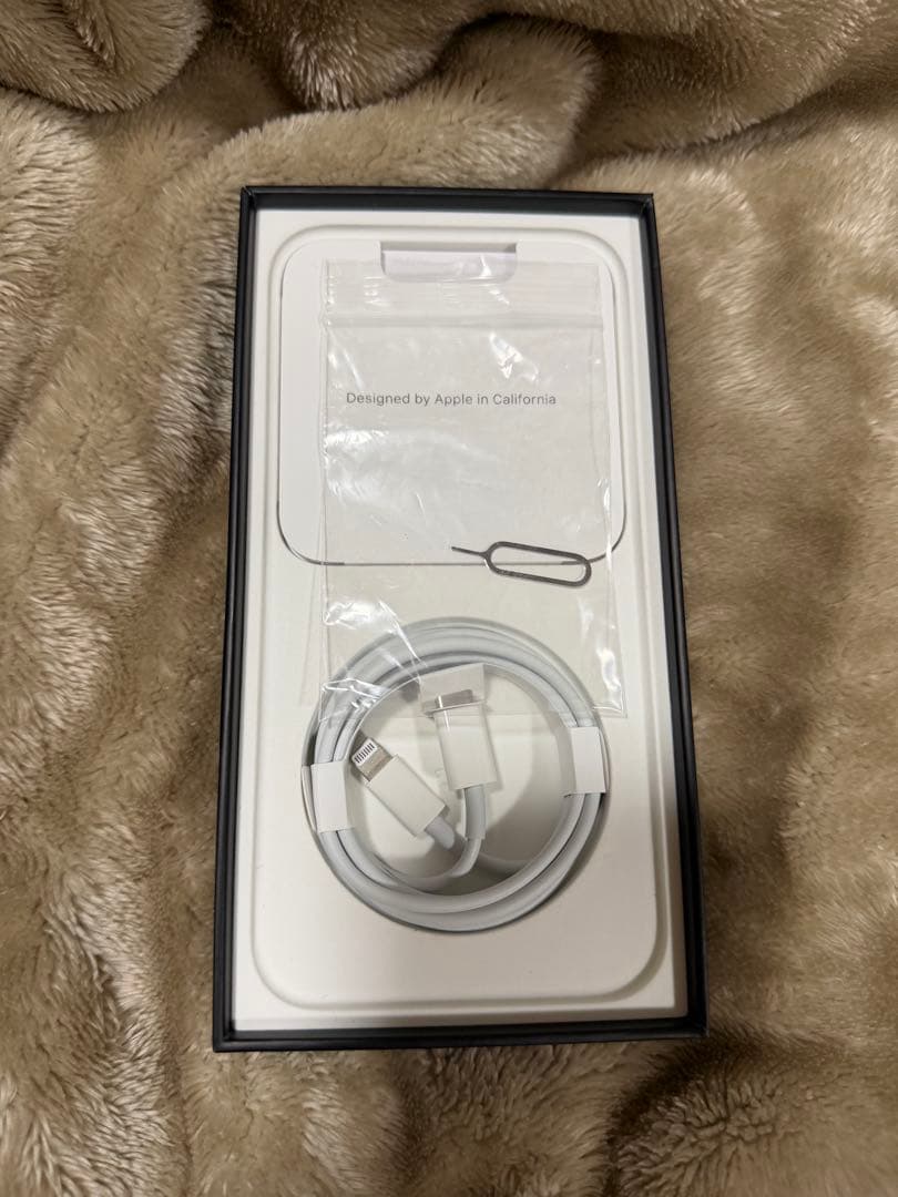 iPhone12 ProMAX本体