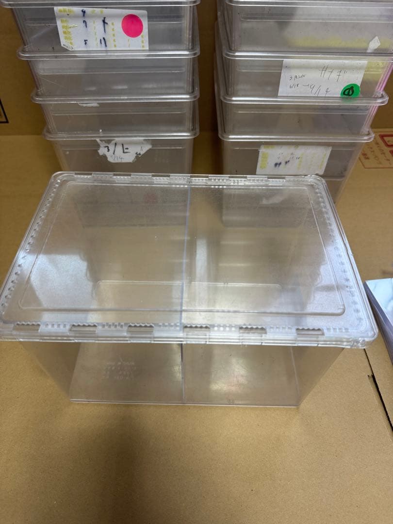 クリアスライダー ラージ 20個セット（中古・仕切り付き）