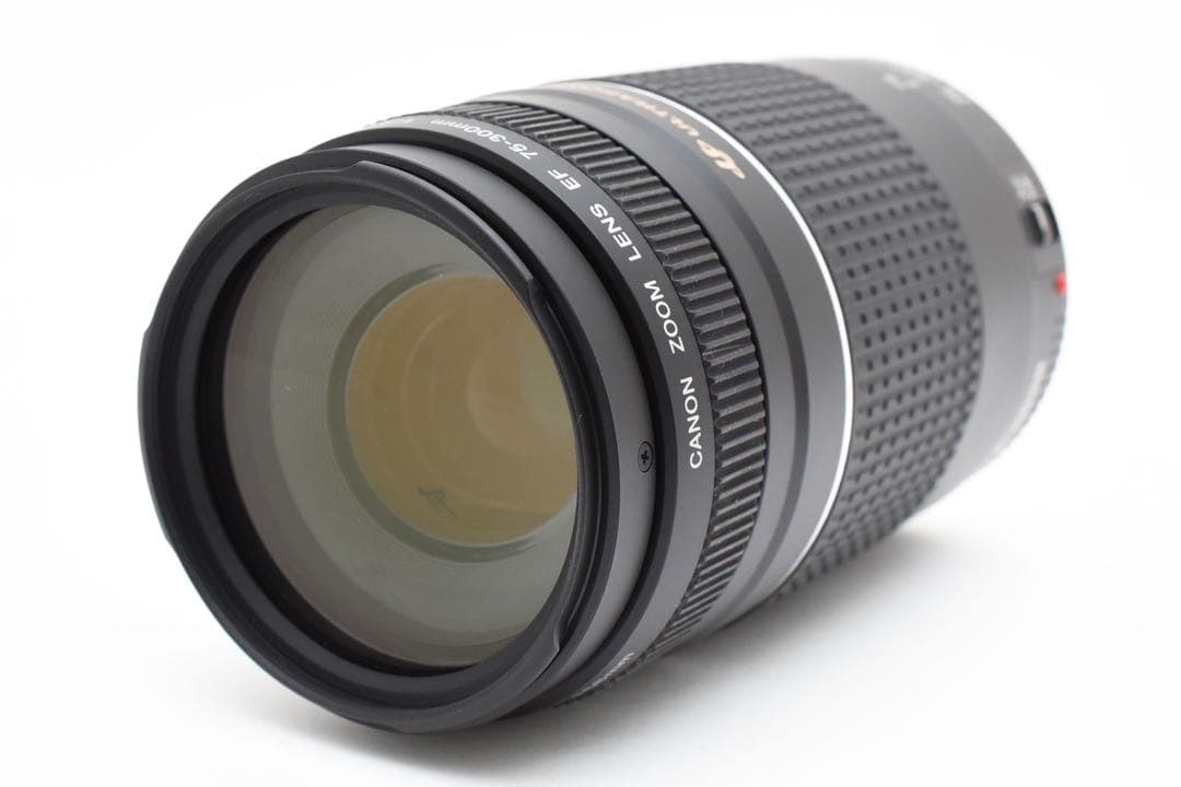 一眼レフカメラcanon kiss x 9i/Canon EF 75-300
