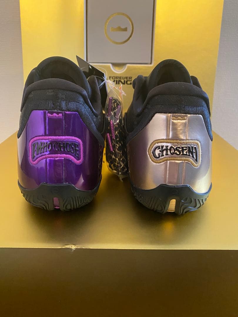 シューズ(男性用) LEBRON XXIII LUX EP 10 (UK 9)