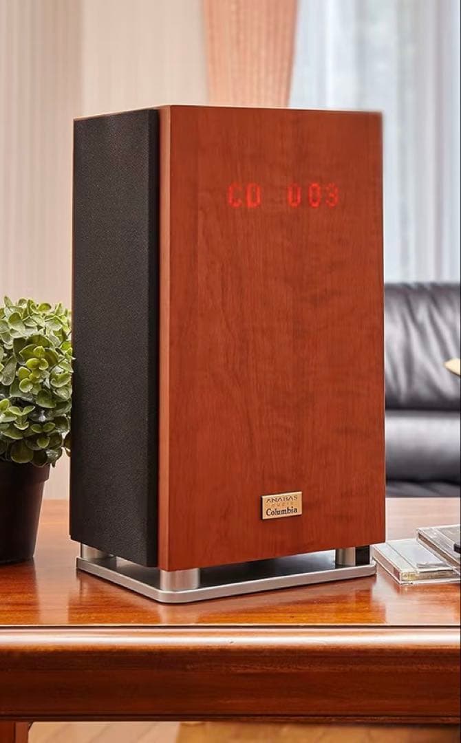 ANABASアナバスオーディオ NCA-100 ユーキャン限定モデル