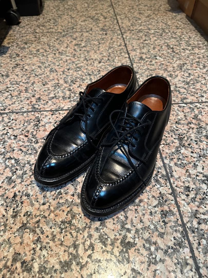 ALDEN 961 Vチップ