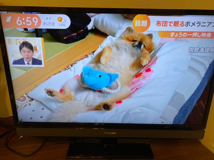 TOSHIBA LED REGZA S5 32S5 テレビ