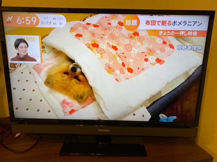 TOSHIBA LED REGZA S5 32S5 テレビ