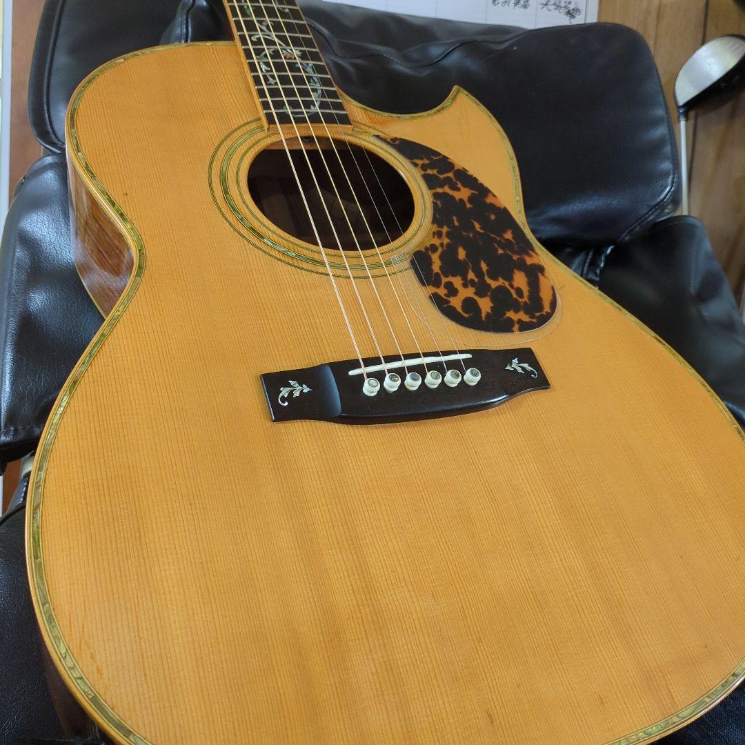 ギター Asturias ,Tree'of.Life.