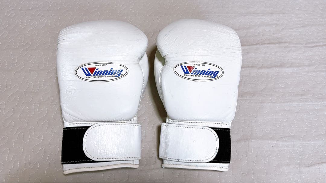 Winning ボクシンググローブ 10oz ホワイト