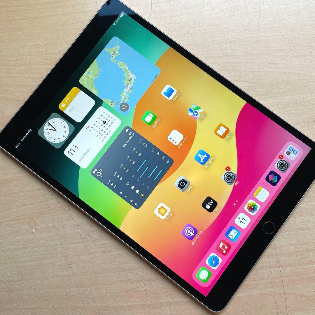 iPad Pro 10.5 シルバー　256GB Cellular　A1709