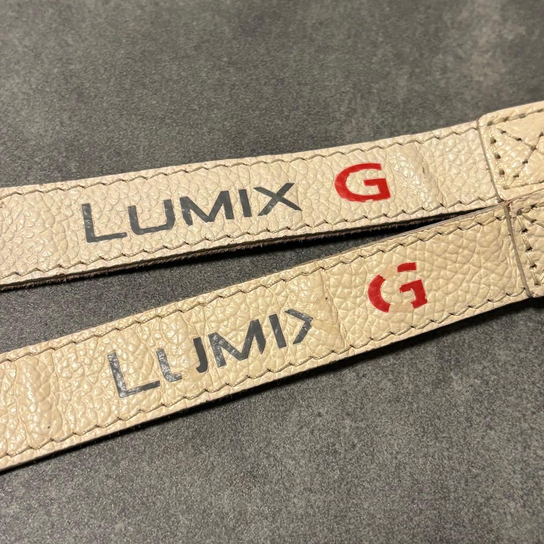 LUMIX DMC-GM1 オレンジ