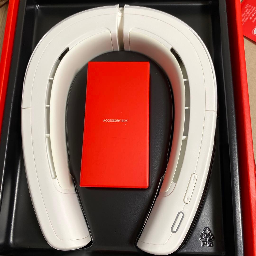 2025年　RANVOO ネッククーラー AICE LITEプラス