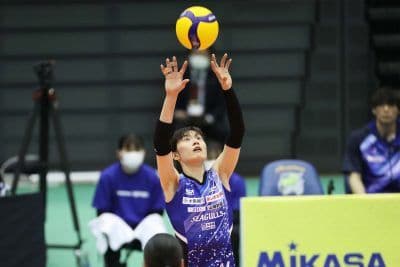 2XOサイズ 宮下遥選手モデル 女子バレー レプリカユニフォーム 2024年