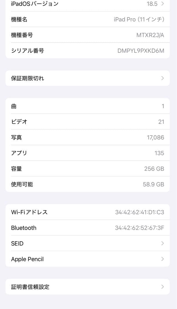 iPad Pro 11第一世代　256GB 第二世代Apple Pencil付き