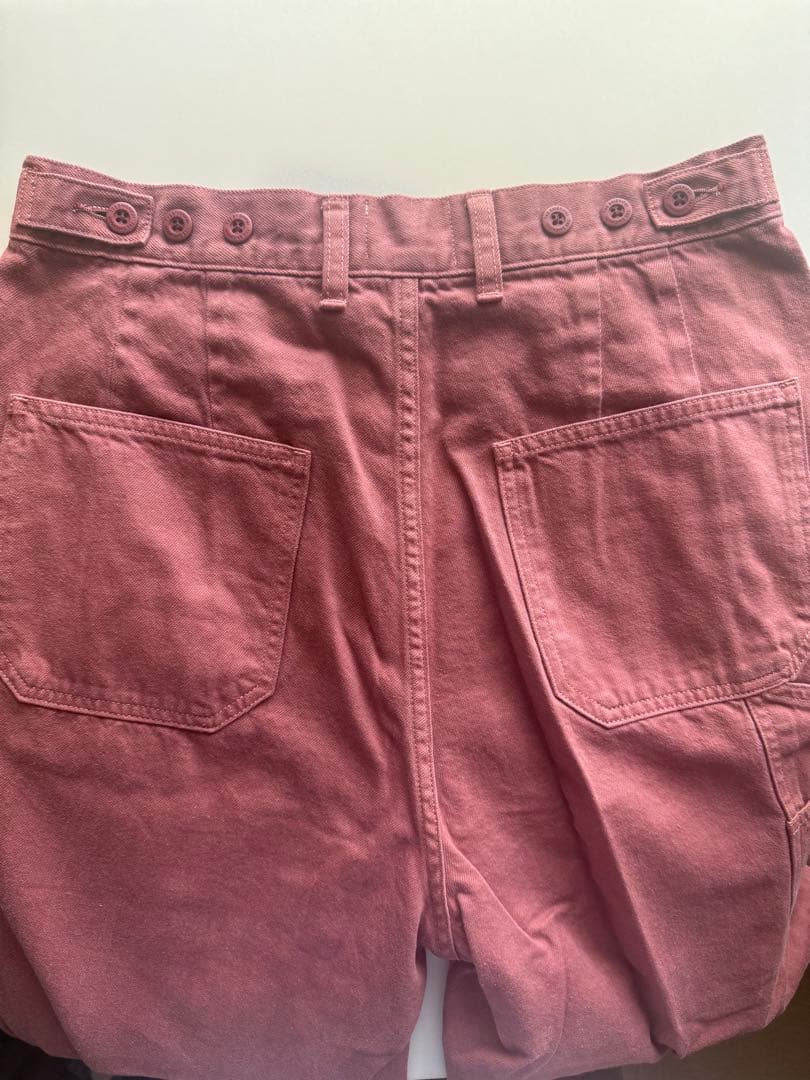 パンツ shishikui Painter pants / D.PINK 38