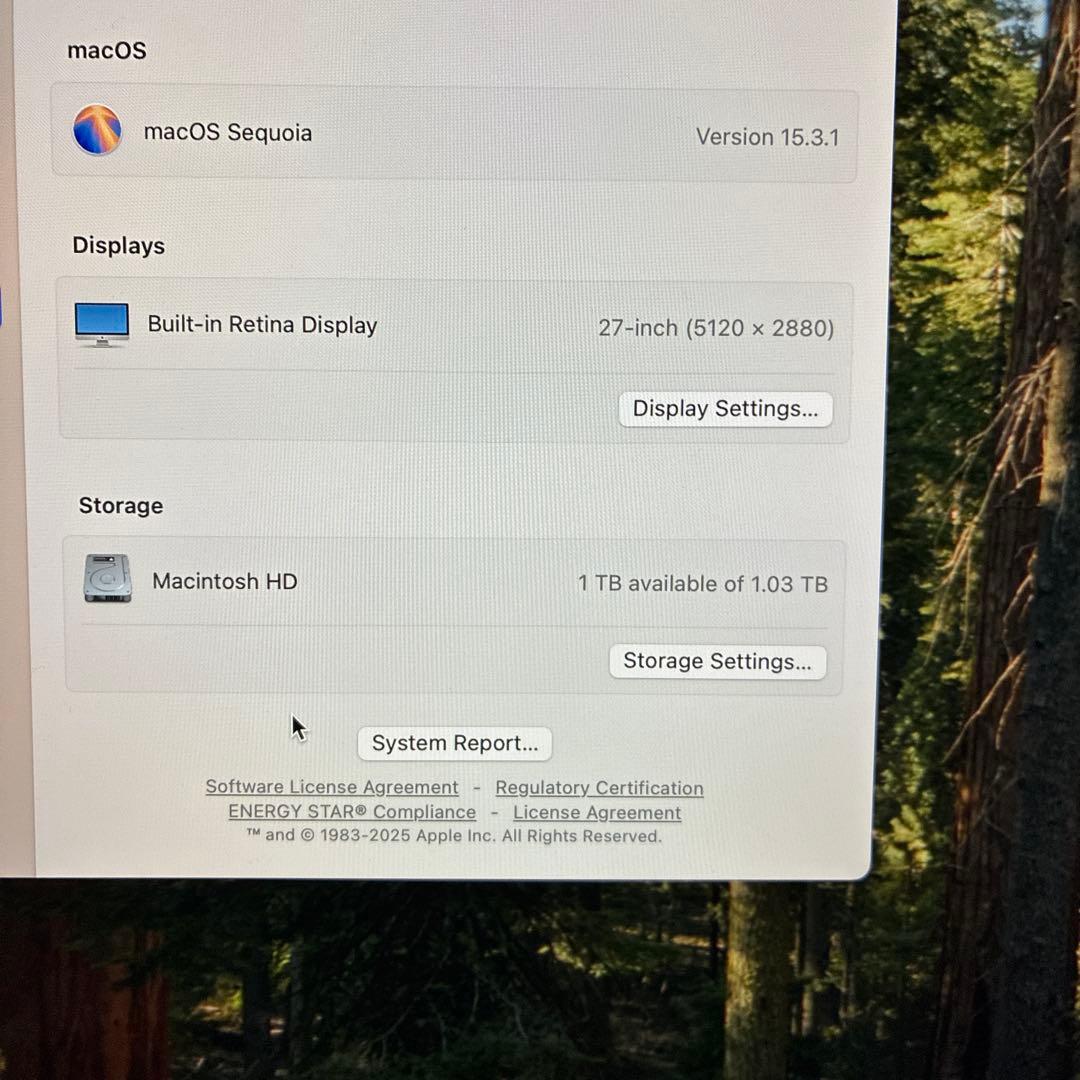 iMac 5k 2019 メモリ48G
