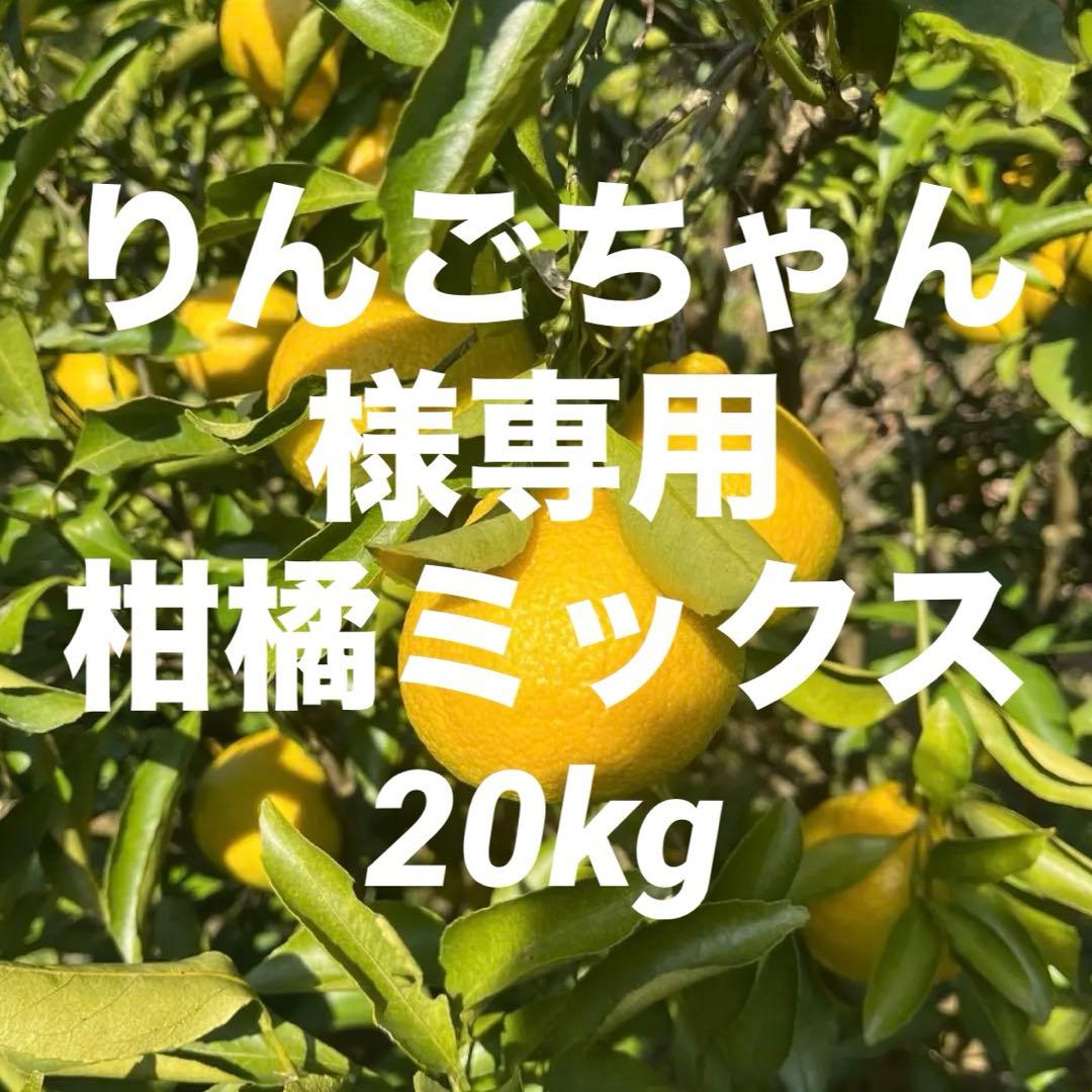 りんごちゃん柑橘ミックス20kg