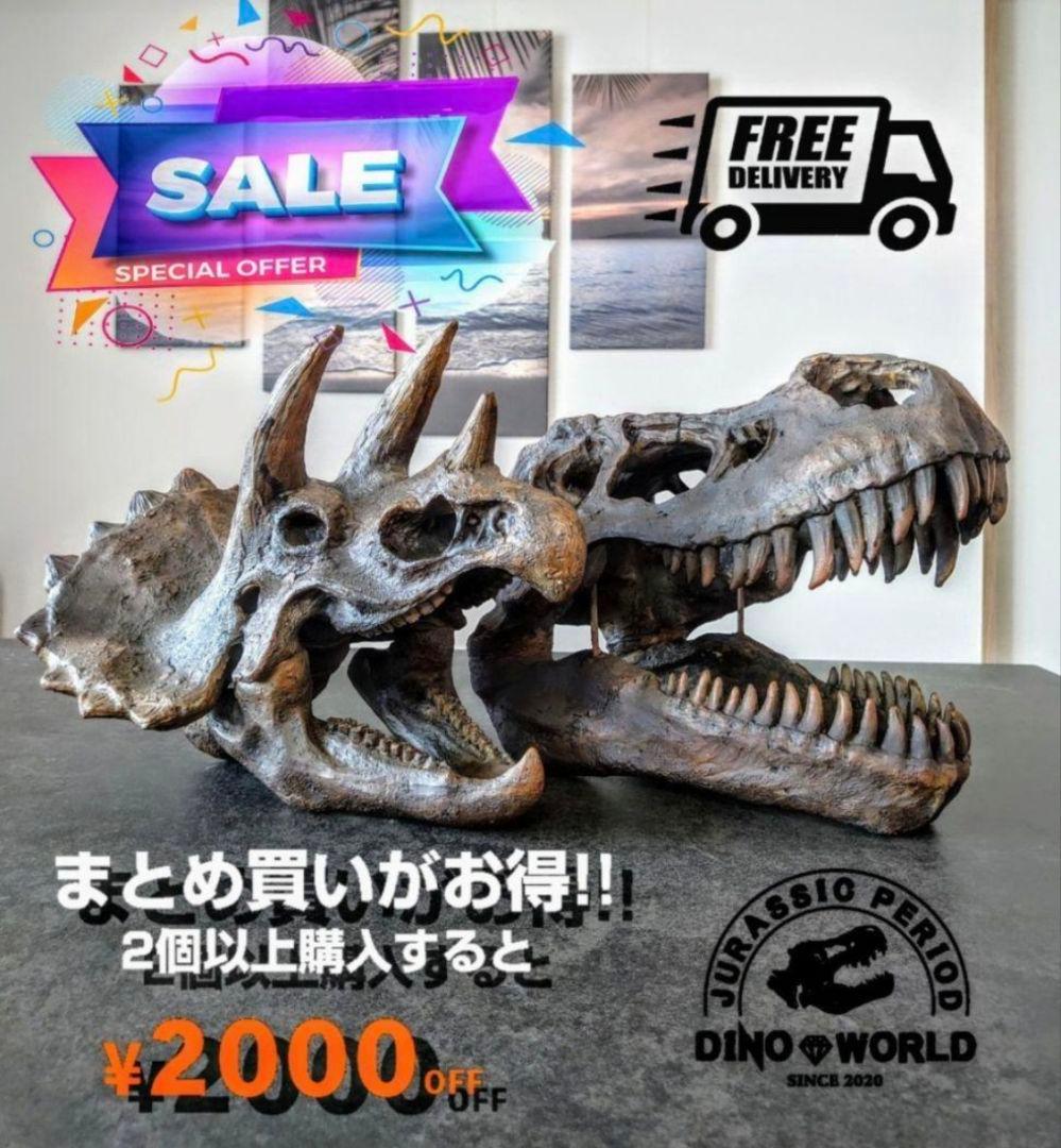 【2個セット】 ティラノサウルス トリケラトプス 頭骨 化石 レプリカ