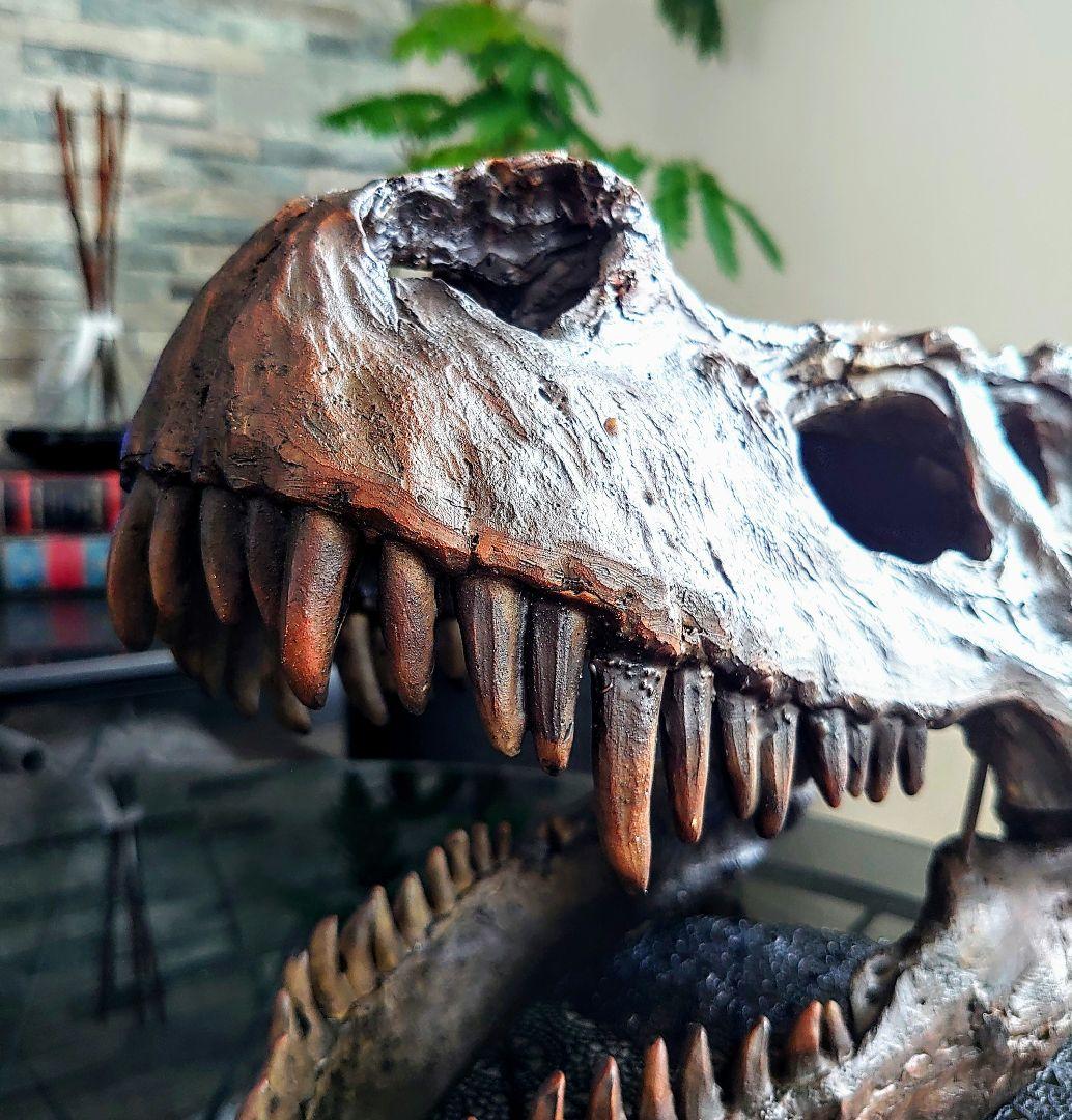 【2個セット】 ティラノサウルス トリケラトプス 頭骨 化石 レプリカ