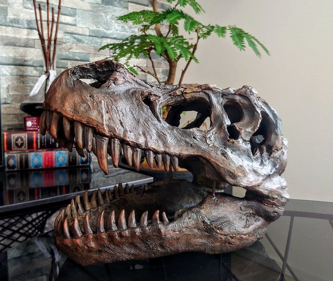 【2個セット】 ティラノサウルス トリケラトプス 頭骨 化石 レプリカ