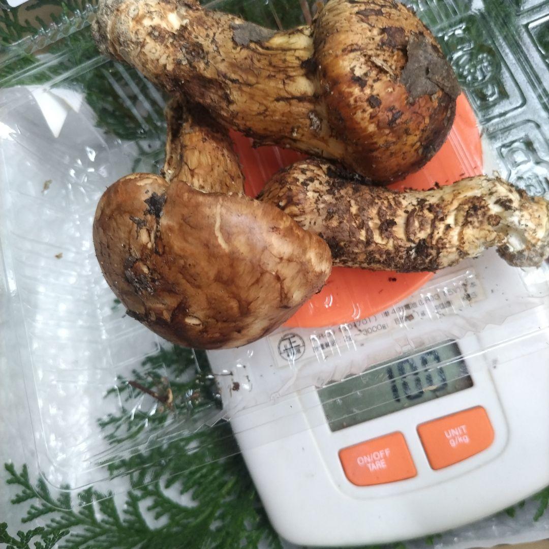 天然、新鮮早松とおまけすだち国産