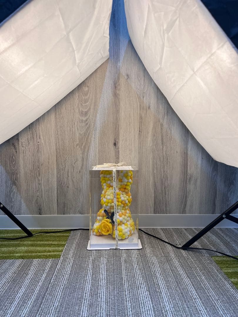 美品　FOSITAN  2本　配信　撮影　モデル　写真　照明　投稿