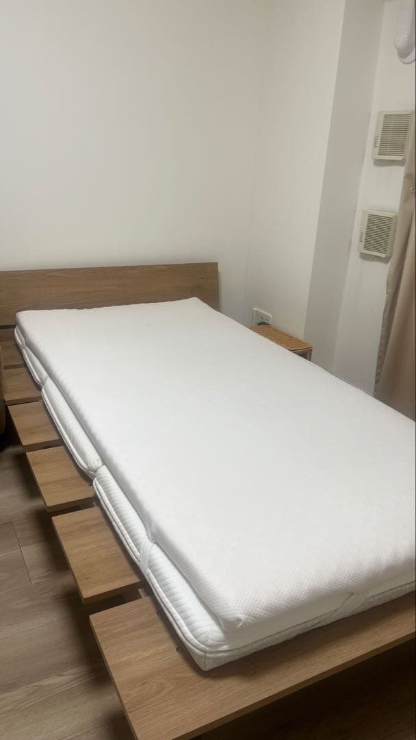 コアラフトン OASIS