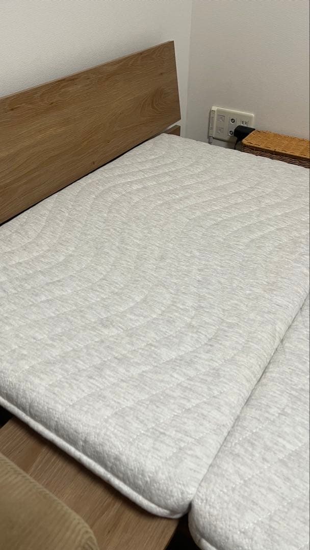 コアラフトン OASIS