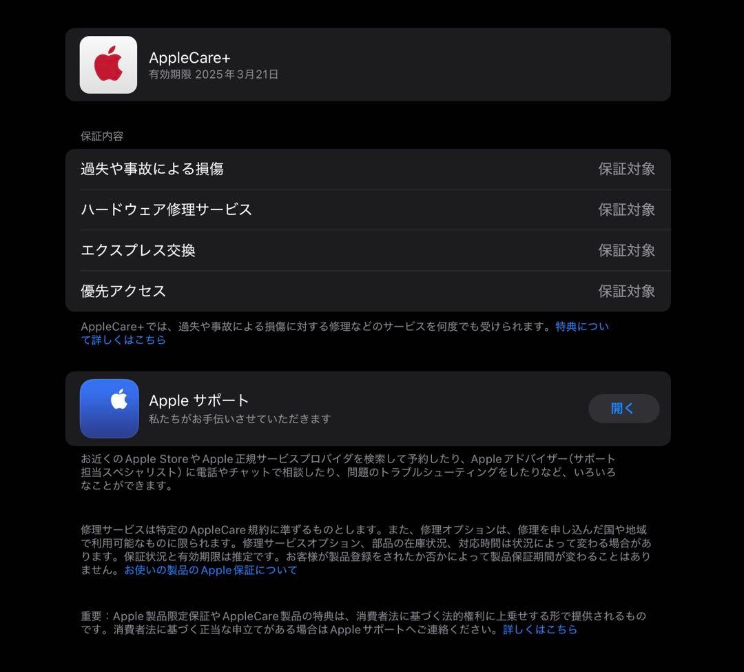 iPad Pro 11インチ 第4世代 256GB MNXF3J/A