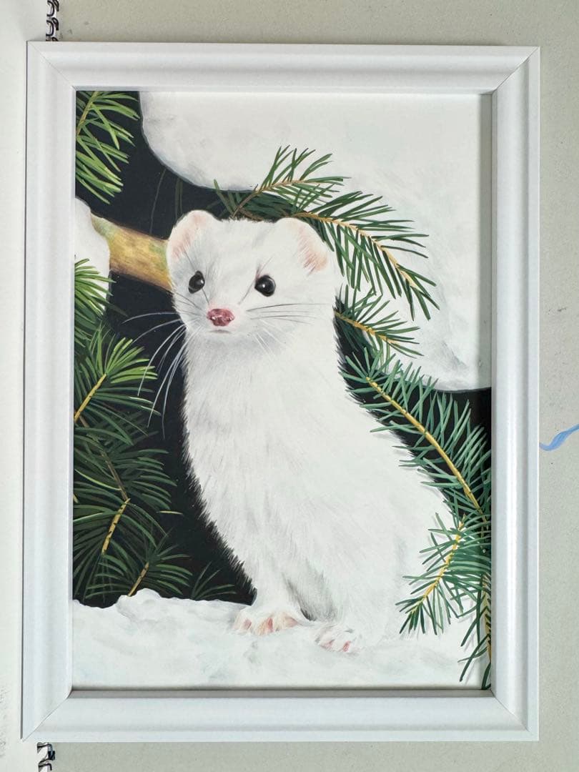 オコジョ　アクリル画　色鉛筆画　額縁付き