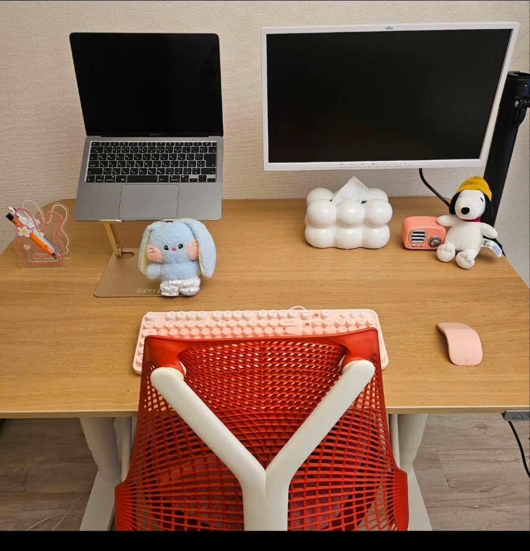 となりのとろろさん専用 IKEA昇降机