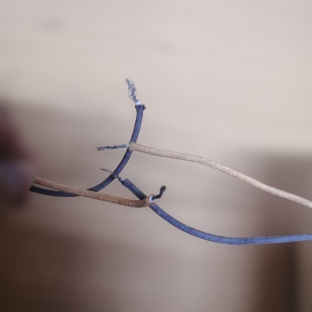 Western Electric 108AA 108A スピーカー 2台セッ