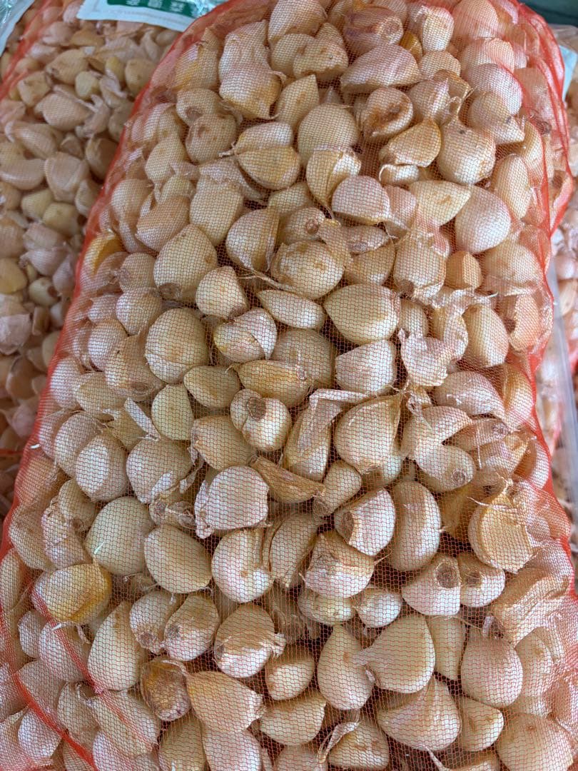 新物 青森県産 福地ホワイト六片 にんにく ムキ １０ｋｇ　L.M 訳あり