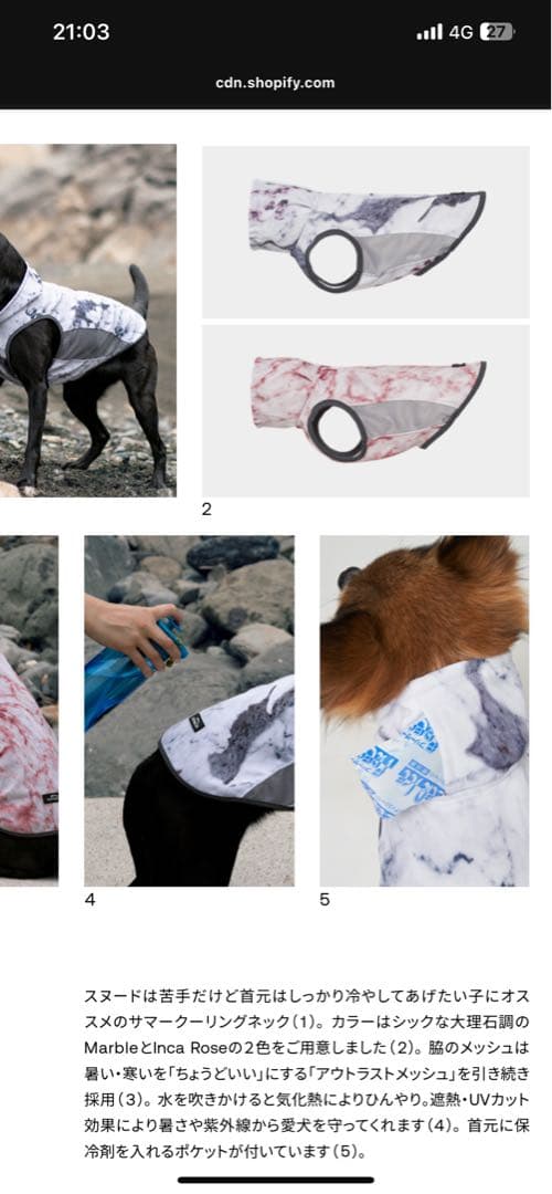 ALPHAICON サマークーリングネック