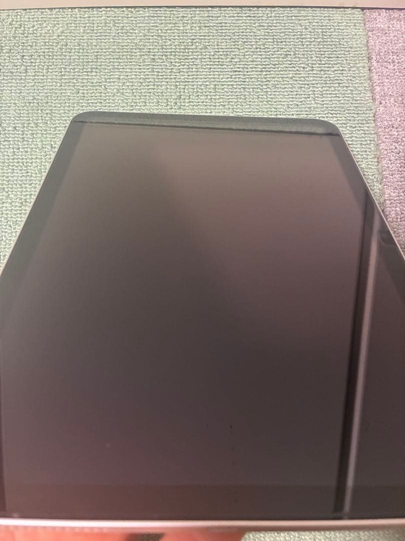 iPad 10.9インチ 第10世代 Wi-Fi 64GB シルバー ケース付き