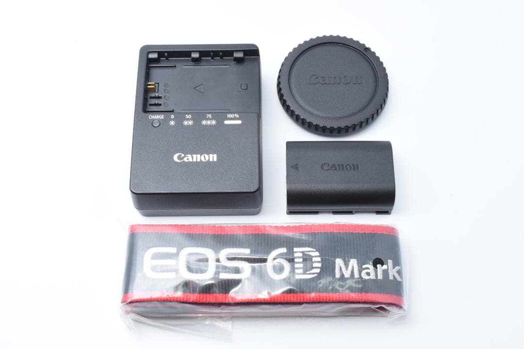 ★美品★ Canon EOS 6D MarkⅡ ボディ