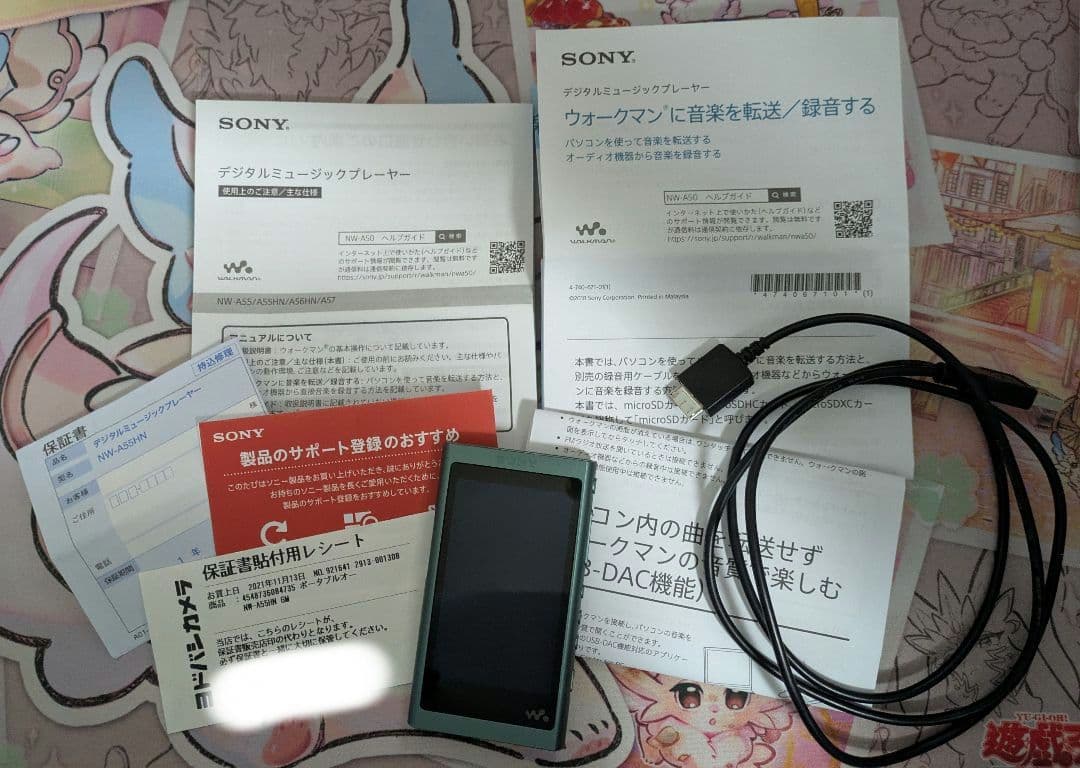 ウォークマン NW-A50series 12.26GB ホライゾングリーン