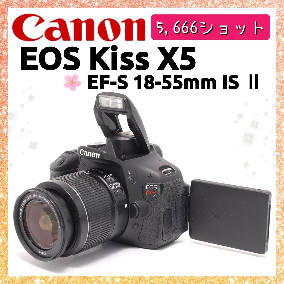 ❤即購入1000円OFF ❤Canon Kiss X5 手ブレ補正 レンズキット