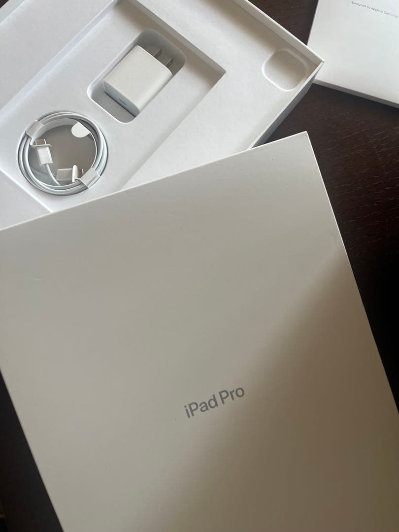 ち　分割Apple iPad Pro スペースグレー 128G 本体　第5