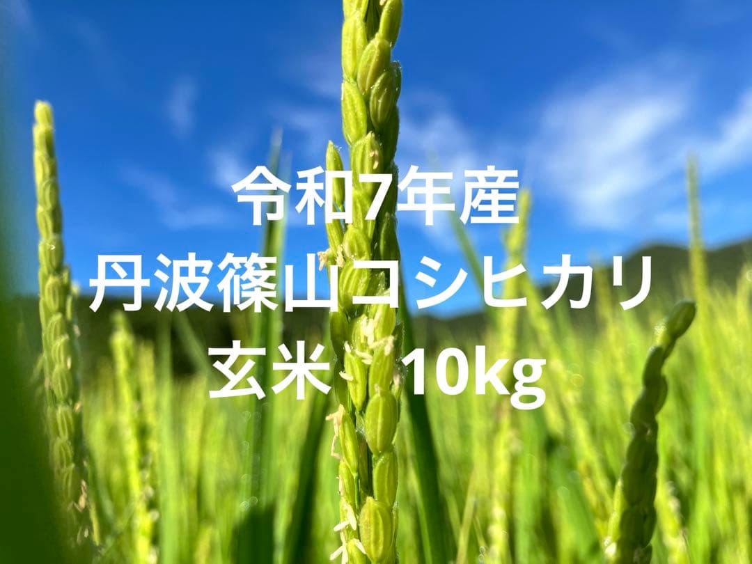 令和7年産【丹波篠山コシヒカリ】玄米10kg 7年産も極上米/食味値87点