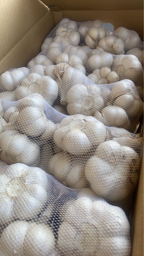 新物　青森県にんにく10Kg ＬＭ