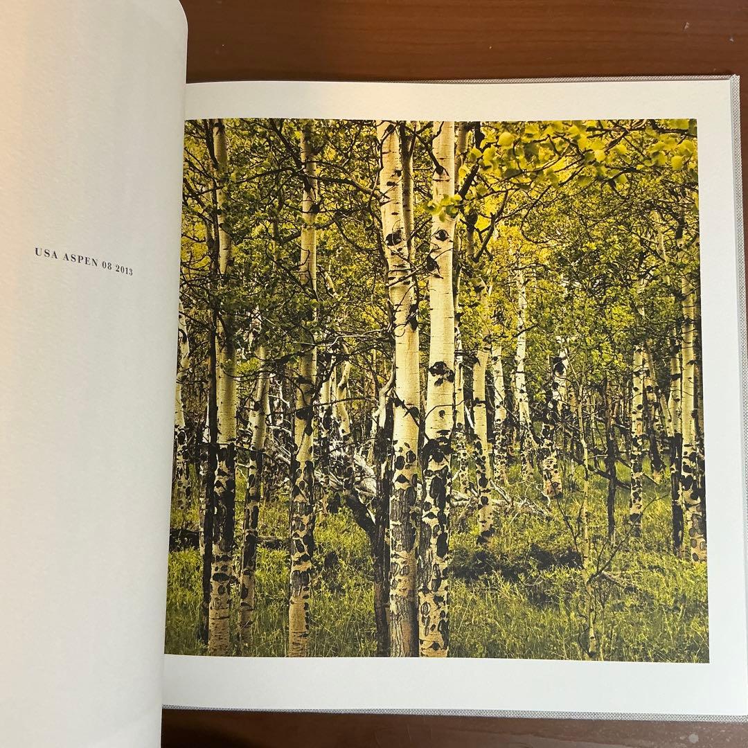 (初版 ) WOODLANDS: MAT HENNEK (洋書)