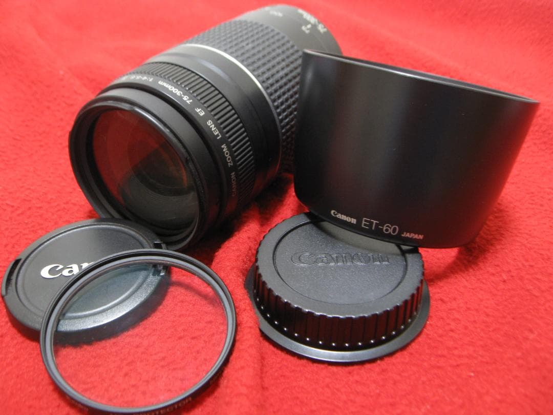 キャノン EFレンズ EF75-300mm F4-5.6 Ⅲ