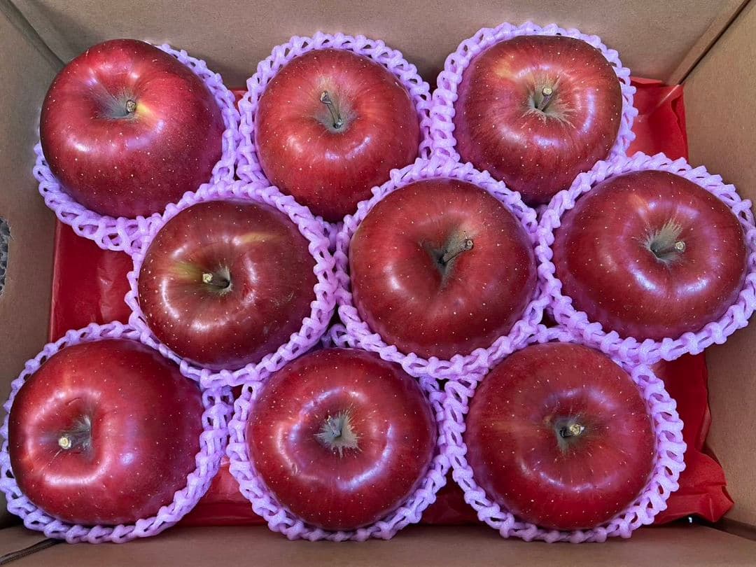 ずんさん専用　6000g クロネコヤマト便で