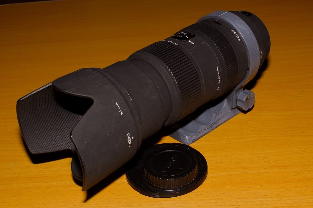 SIGMA 50-500mm F4-6.3 APO DG 超望遠 ズームレンズ