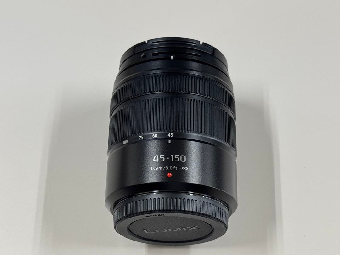 Panasonic　LUMIX　G100D