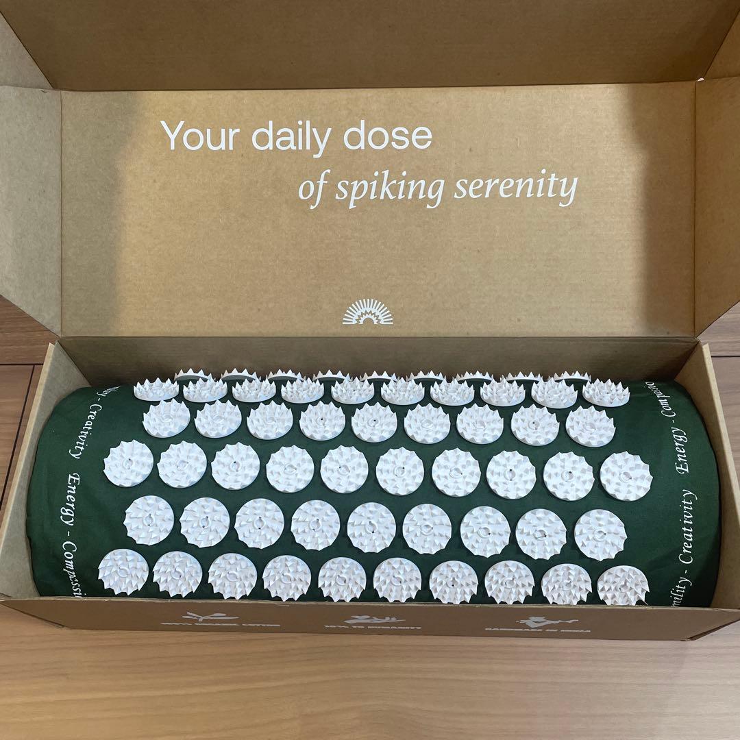 【新品】【正規品】シャクティマット（緑）枕のみ